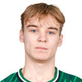 ПОПУШНОЙ АРСЕНИЙ