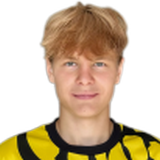 Снегирев Елисей