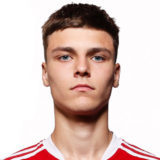 ЧЕРНЫШЕВ АРСЕНИЙ АНДРЕЕВИЧ