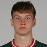 Трайгель Денис Дмитриевич
