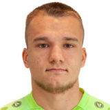 ЦИПУШТАНОВ МИХАИЛ